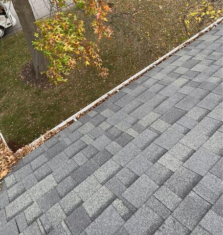 Before Installation: Leaves in the Gutters