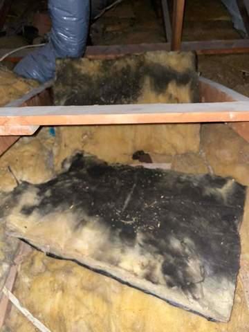 humidité et moisissure sous les nattes de laine