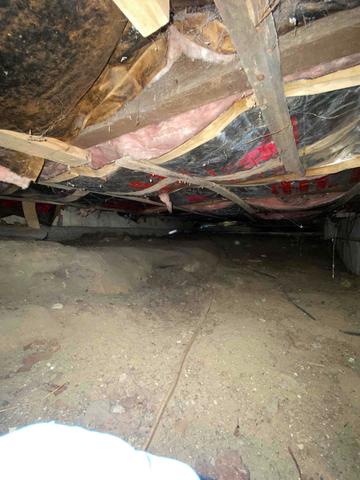 Moist Crawlspace