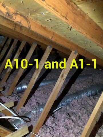 Old Insulation