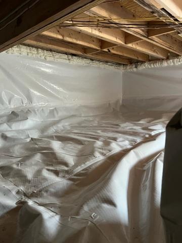 CleanSpace