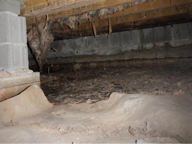 Water Seeping Through Wall