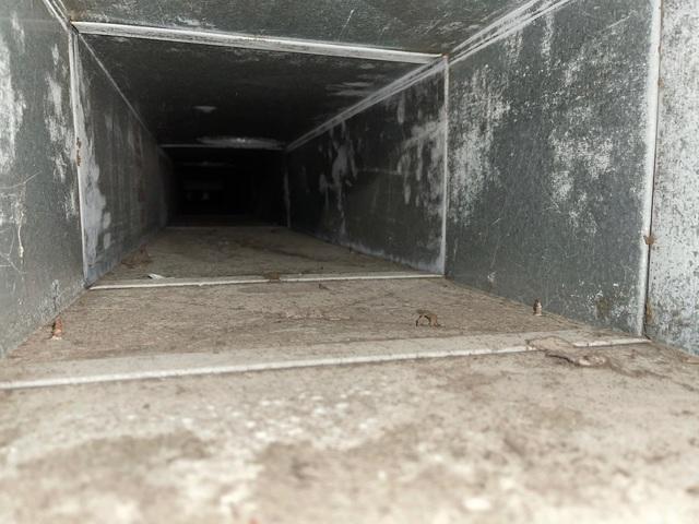 Duct Cleaning - Arnolds Park, IA