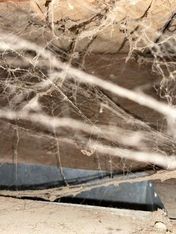 Duct Cleaning - Mount Ayr, IA