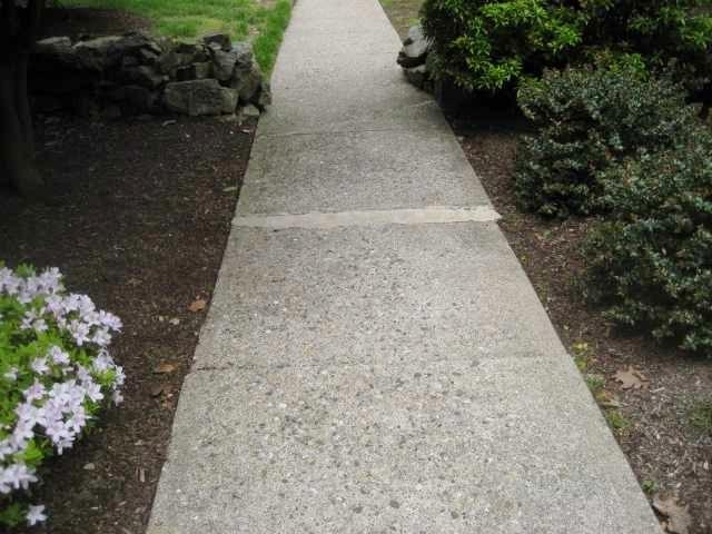 Sidewalk Patch Job