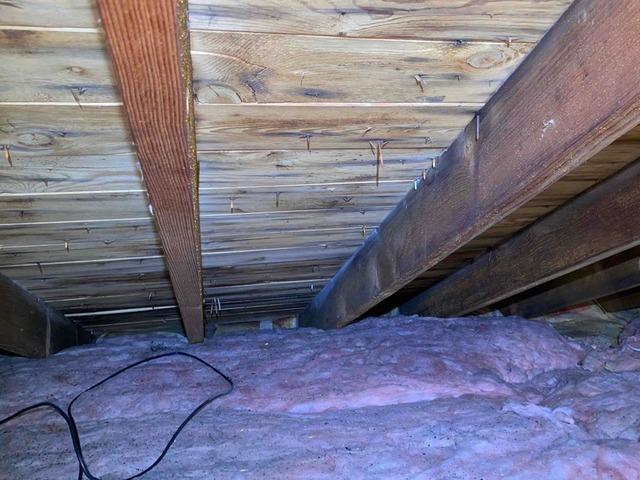 Mold on Sheathing