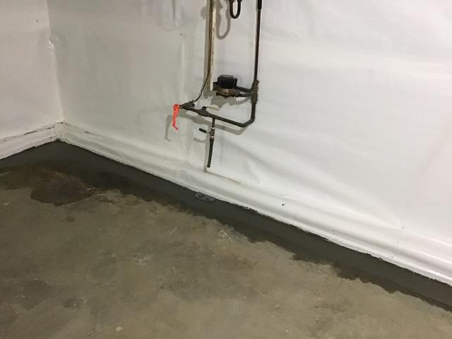 CleanSpace and WaterGuard 2