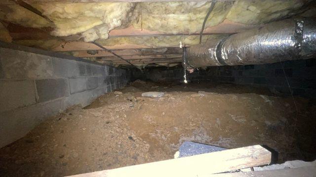 Crawl Space Before