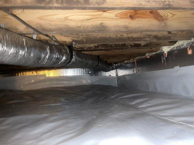 Crawl Space After