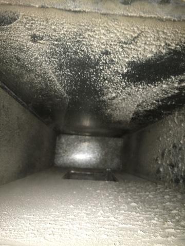 Duct Cleaning - Prague, NE