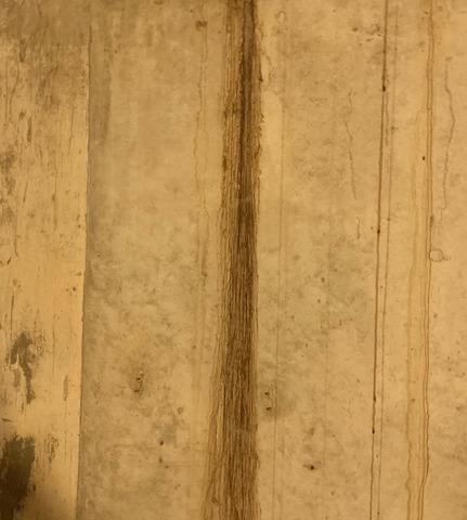 Water Leaks