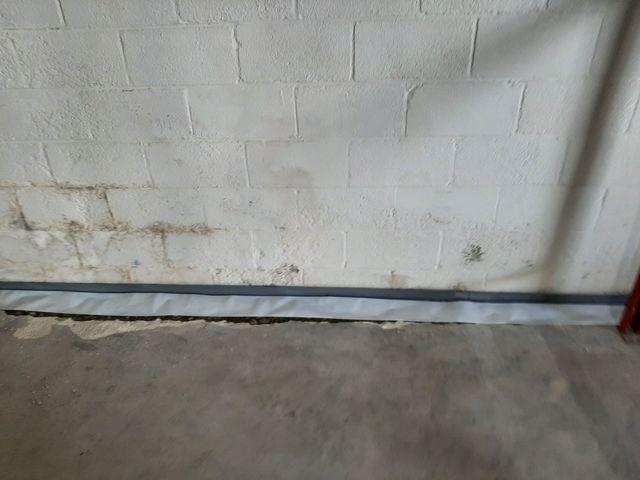 Controlled Environment in Brentwood Basement