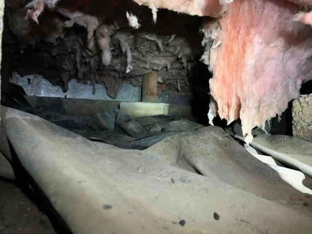 Dusty Old Vapor Barrier and Falling Insulation