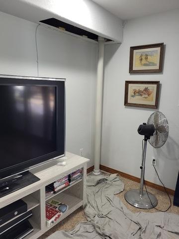 Basement Family Room.