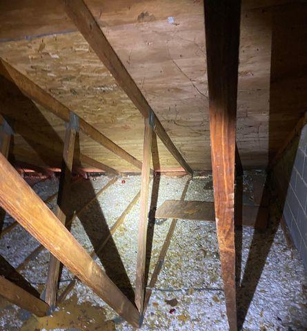 Attic Insulation Before