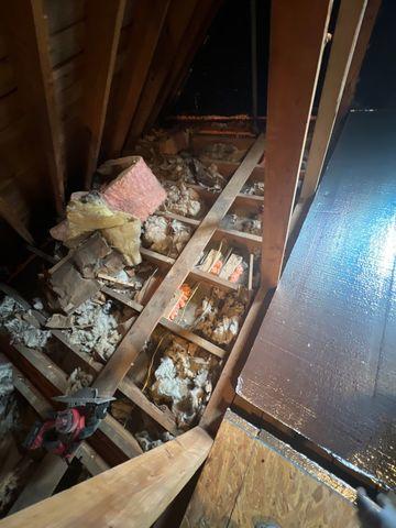 Old crumpled pieces of paper and newspapers were used as a wasted attempt to insulate this attic.