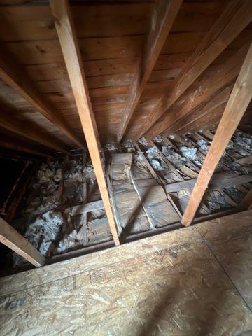 Old crumpled pieces of paper and newspapers were used as a wasted attempt to insulate this attic.