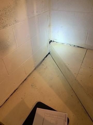 Waterproofing Solution in College Grove, TN