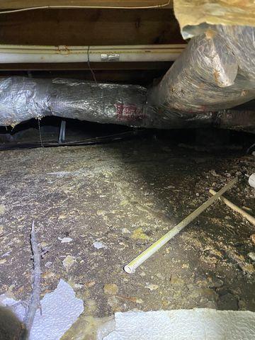 Crawl Space Before