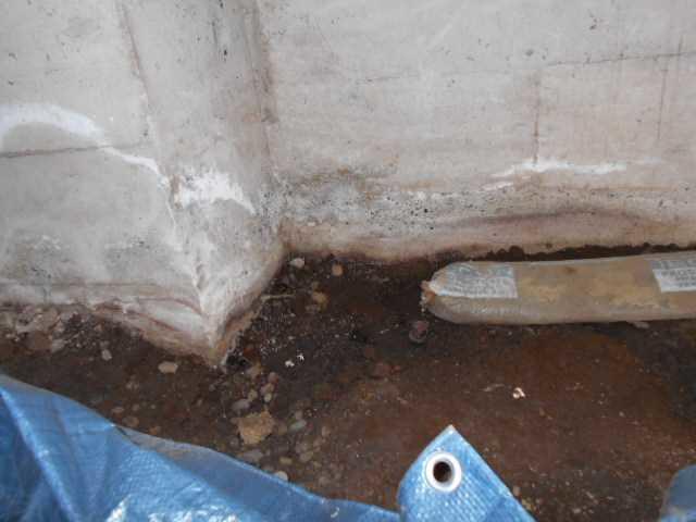 Damp Dirt Crawlspace