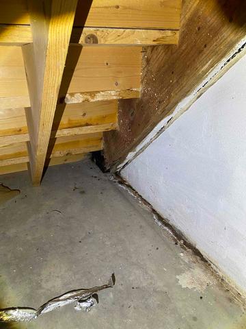 Basement Waterproofing