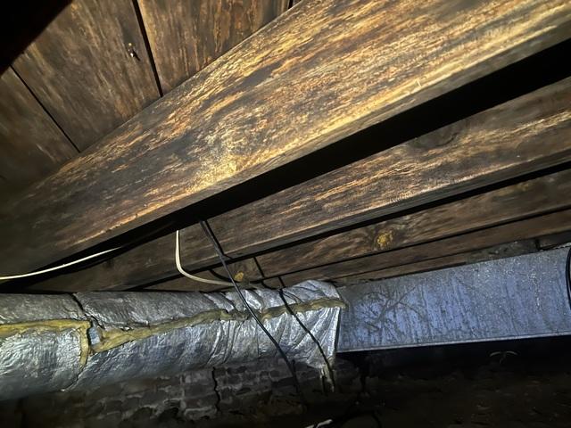 Rotting Joists