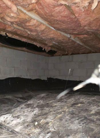 Traditional, old school methods for crawl space management don't work.  Plastic like this just holds moisture below, it doesn't control the moisture and it lets the air become musty smelling.