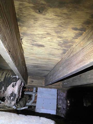 Subfloor and Joists Affected by Humidity