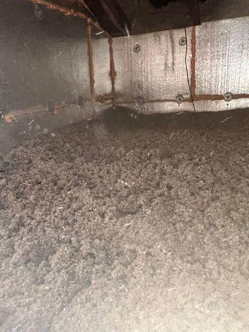 Cellulose Insualtion