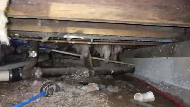 Moisture in Crawl Space