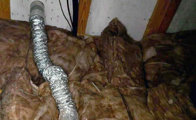 Old Nasty Insulation