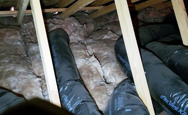 Trunks & Old Fiberglass Insulation