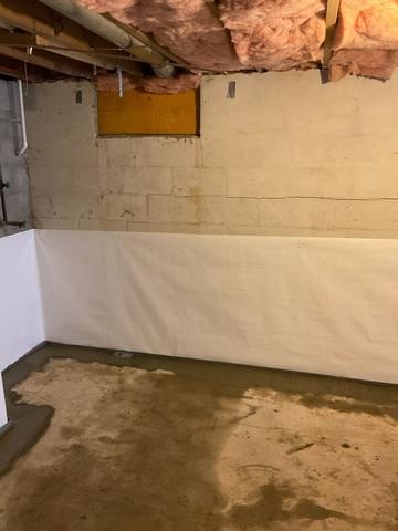 CleanSpace