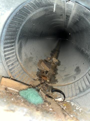 Duct Cleaning - Yutan, NE
