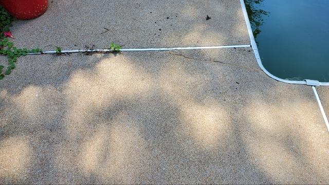 Faulty Sealant