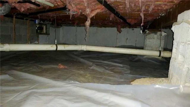 Signs of a Wet Crawl Space 