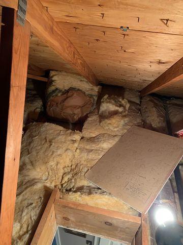 Attic Before