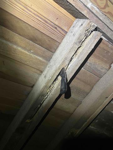 Wood Rot in the Crawl Space