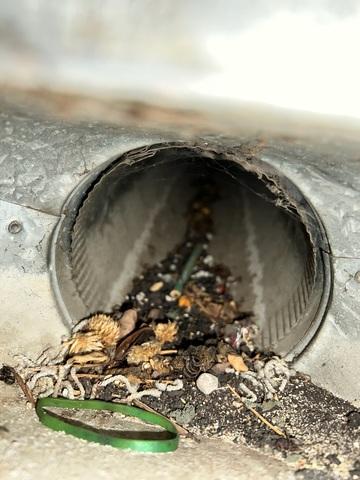 Duct Cleaning - Logan, IA