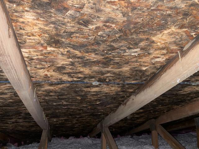 Incorrectly installed baffles along with debris and Insulation blocking soffit vents will cause mold