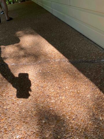 Before Photo of serious cracking