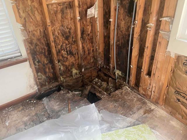 Leaky Shower Location