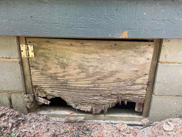 Old Rotten Crawl Space Door