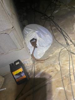 What's In Your Crawl Space?