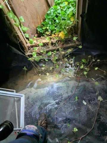 Starting a Garden in Your Crawl Space?