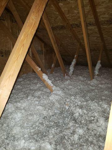Old Insulation