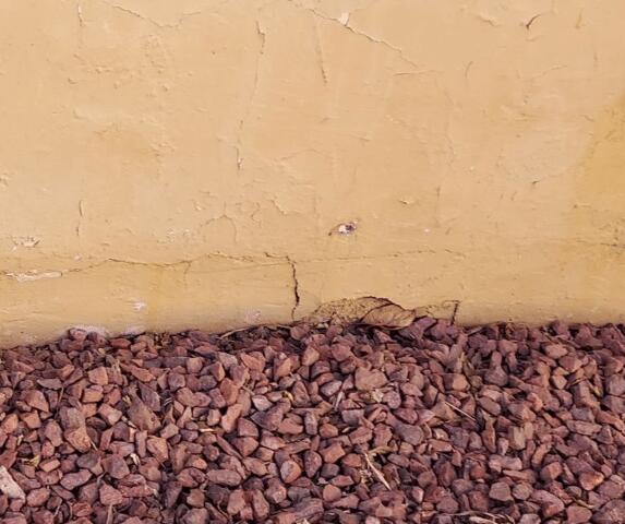 Signs of Stem Wall Failure: Vertical Cracks