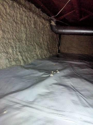 Spray Foam Application