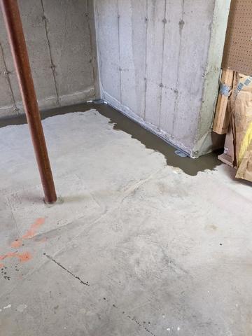 WaterGuard Interior Drainage System