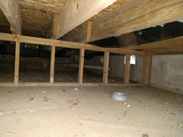 While Brenda's crawl space was reasonably dry, there were still areas where moisture buildup was present.